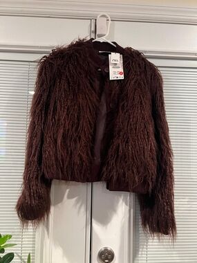 Zara Brown Faux-Fur Jacket